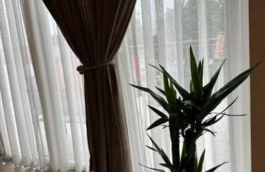 Residenza Zotaj LA MANSARDA - Foto 24