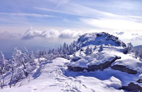 Haus Margarete & Landhaus Karin - Foto 29