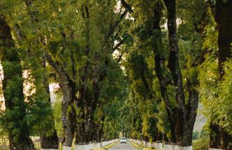 Casa do Pássaro - Photo 77