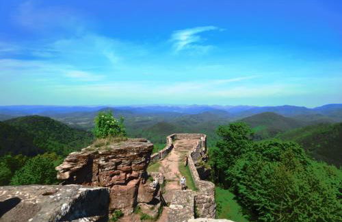 LES BRIMBELLES - Photo 26