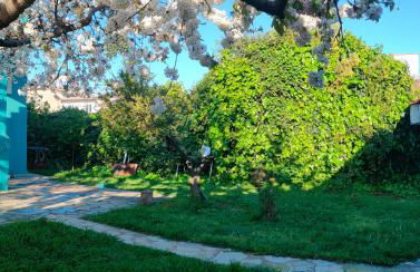 Stone Yard - Photo 16