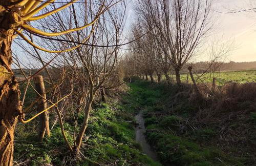 Maison avec jardin à la campagne - Photo 22