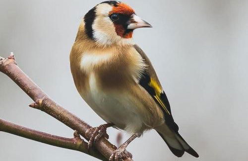 La Casa del Pan de Archivel - Foto 61