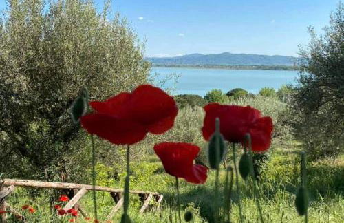 Bellavista la tua romantica vacanza sul Trasimeno - Foto 42