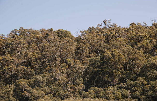 Ampersand Estates - Photo 17