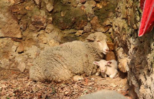 Quinta Do Sobral - Foto 30