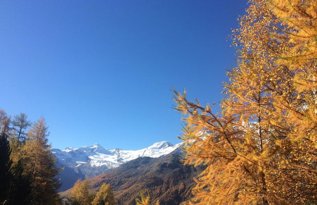 Bergfreude - Foto 77