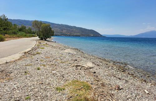 ATHINA-Georgia - Foto 19