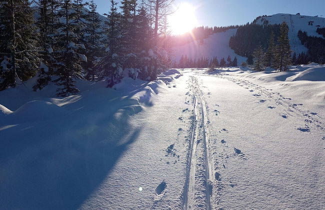 Beautiful Holiday Flat in Krimml Near Waterfalls - Foto 27