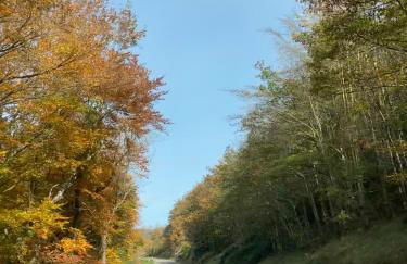 Ostalon de Sénégats - Foto 49