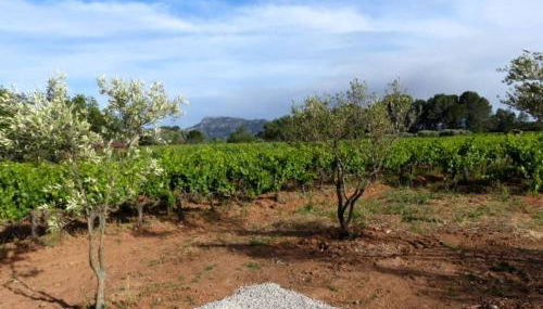 Studio Vu sur l'O2 Là - Foto 2, Garden, Garden view