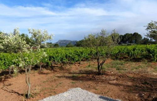 Studio Vu sur l'O2 Là - Foto 2