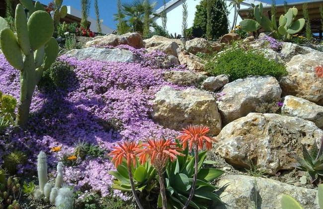 Bed & Breakfast Casa don Carlos - Foto 62