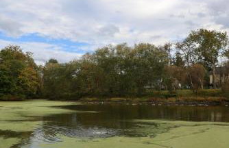 Bucks County Home Farm Philadelphia Dog Friendly - Foto 38