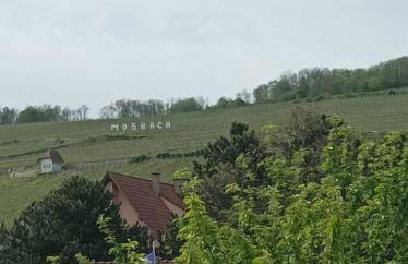 Gîte Chez Mamema - Foto 52