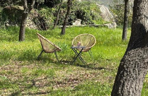 La demeure des vignes - Foto 19