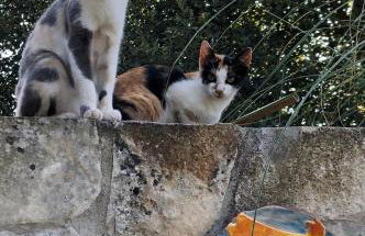 Casas Dos Infantes - Turismo Rural - Foto 50