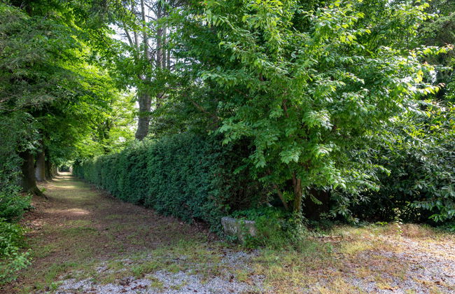 La Quercia - Foto 29