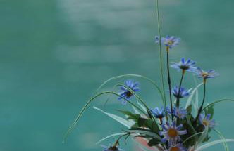 Studio Sea Song - Foto 13