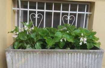 Relax home - Photo 7