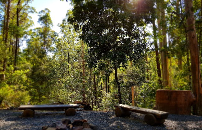 Carawirry Forest Escape - Foto 53