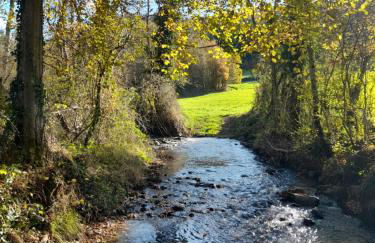 Gîte Mascotte - Foto 36