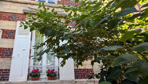 Charmante Maison De Ville - Foto 2