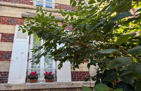 Charmante Maison De Ville - Foto 2