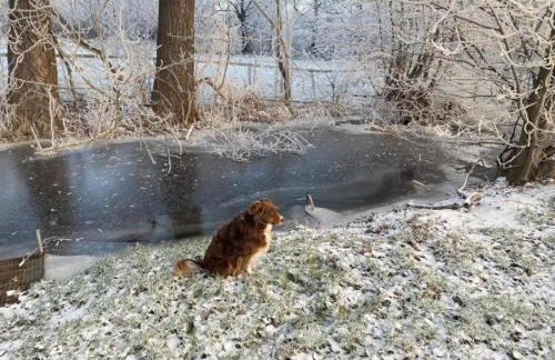 Cinema Comfort in Ballenstedt - Foto 37