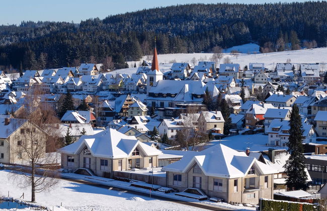 Schwarzwaldblick - Foto 15