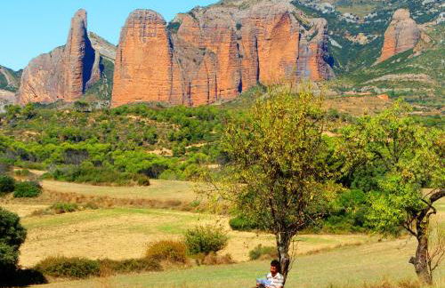 El Corral de Concilio - Foto 81
