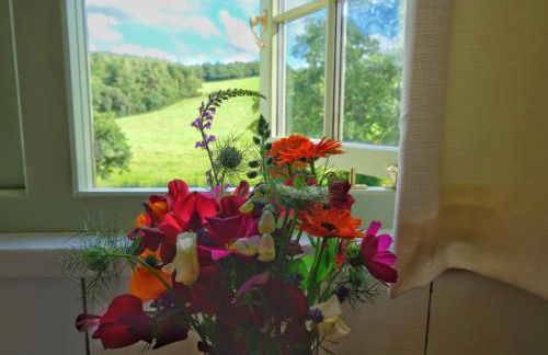 Cosy Owls Roost Hut With Private Hot Tub - Foto 17