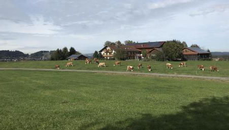 Biobauernhof Benihof - Ferienwohnung Alpenblick - Foto 4