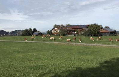 Biobauernhof Benihof - Ferienwohnung Alpenblick - Foto 4
