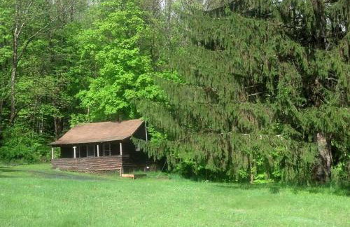Superb Family Cabin with Mountain Views and Deck in Shandaken, New York - Foto 1