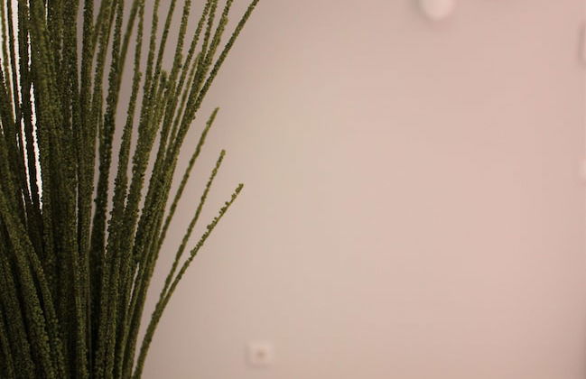 Cardeal Suites & Apartments - Foto 64