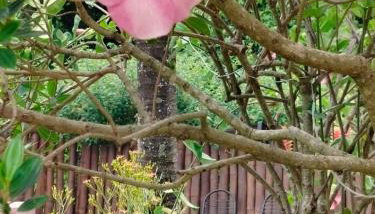 Chácara da Cláudia lindoia - Foto 5