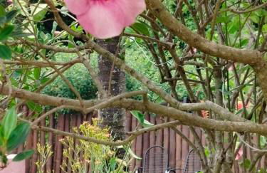 Chácara da Cláudia lindoia - Foto 5