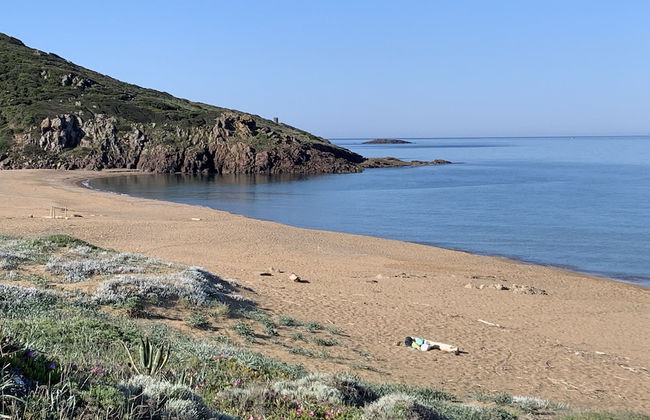 Don Pedro 53 - Foto 42