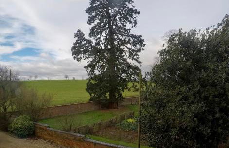 Whitchurch Farm Guesthouse - Foto 11