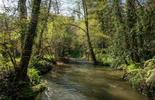 Quinta de Mourães Casa dos Rododendros - Foto 33