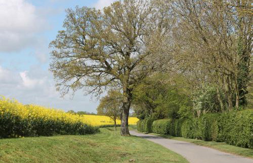 Colston Hall Cottages - Photo 26