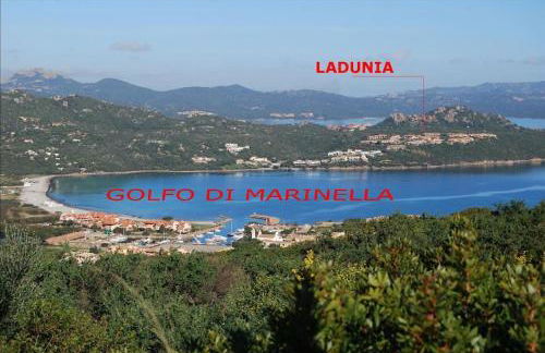 La tartaruga - Photo 22