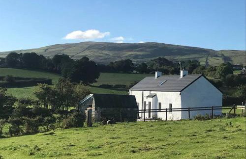 Mournes Family Cottage with Hot Tub - Foto 10