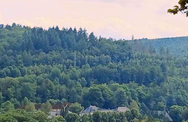 Ferienwohnungen Rump - Foto 21