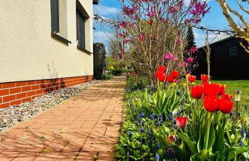 Ferienwohnung "Baum" - Photo 12