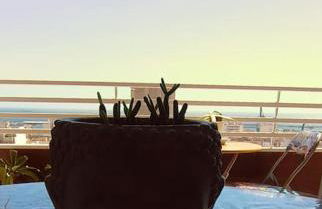 Estudio Alicante Centro - Foto 22