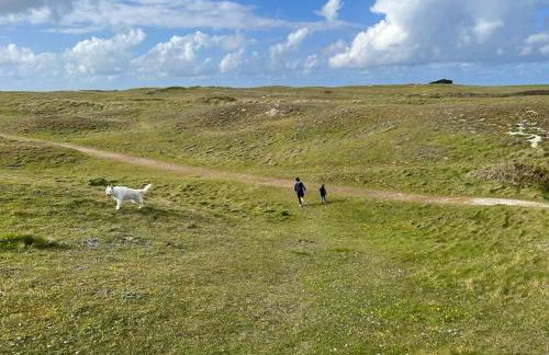 La maison des dunes - Proche plage Sainte Marguerite - Foto 43