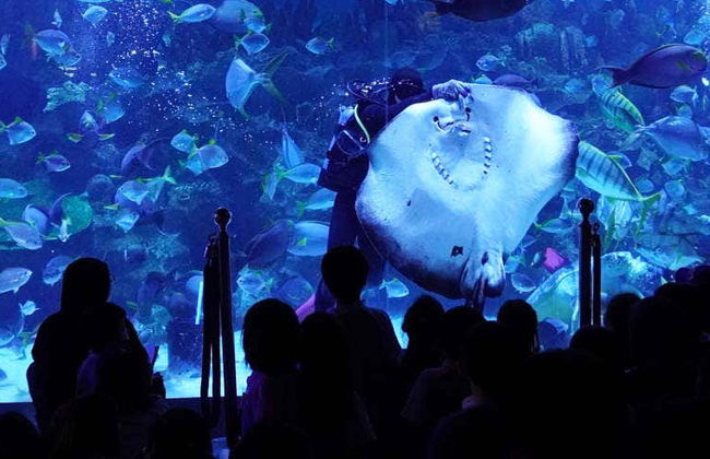 Ingresso do Aquaria KLCC - Foto 3