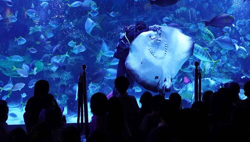 Biglietti per Aquaria KLCC